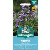Nepeta Seeds (Blue Panther) image