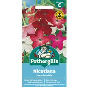 Nicotiana Seeds (Sensation Mix) image