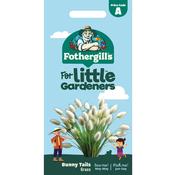 Bunny Tail Grass Seeds (Little Gardeners) image