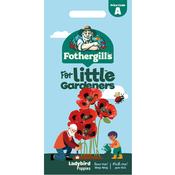Ladybird Poppy Seeds (Little Gardeners)