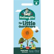Pom Pom Sunflower Seeds (Little Gardeners) image