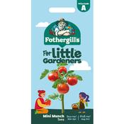 Little Gardeners Tomato Seeds image