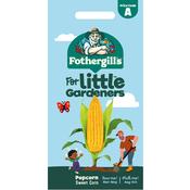Little Gardeners Sweet Corn Seeds image