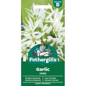 Wild Garlic Seeds image