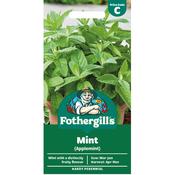 Mint Seeds (Applemint) image