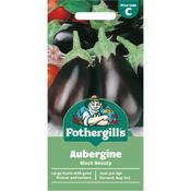 Aubergine Seeds (Black Beauty) image