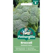 Autumn Broccoli Seeds (Covina) image