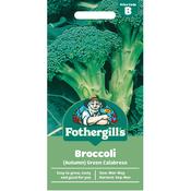 Autumn Broccoli Seeds (Green Calabrese)