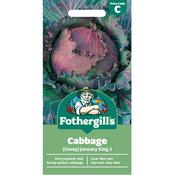 Cabbage Seeds (Savoy)