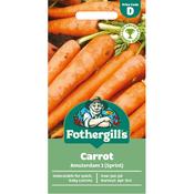 Carrot Seeds (Amsterdam 3 Sprint) image