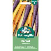 Carrot Seeds (Harlequin Hybrid) image