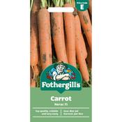 Carrot seeds (Nerac Hybrid) image