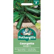 Courgette Seeds (Midnight Hybrid)