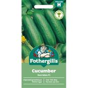 Cucumber Seeds (Socrates Hybrid) image