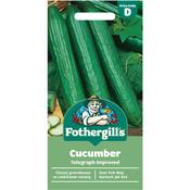 Cucumber Seeds (Telegraph Improved) image