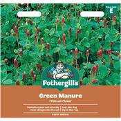 Green Manure Seeds (Crimson Clover)