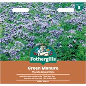 Green Manure Seeds (Phacelia Tanacetifolia)