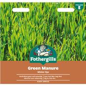 Green Manure Seeds (Winter Rye) image