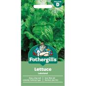 Lettuce Seeds (Lakeland) image