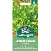Lettuce Leaves Green Mix image