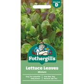 Lettuce Leaves Mixture image