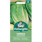 Lettuce Seeds (Romaine Ballon) image
