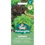 Lettuce Salad Bowl Red &amp; Green Mix image