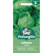 Lettuce Seeds (Saladin)