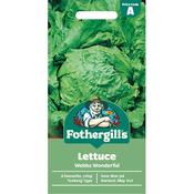 Lettuce Seeds (Webbs Wonderful) image