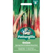 Spring Onion Seeds (North Holland Blood Red) image