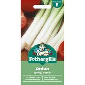 Spring Onion Seeds (Ramrod)
