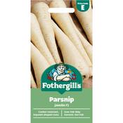 Parsnip Seeds (Javelin Hybrid) image