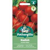Radish Seeds (Scarlet Globe) image