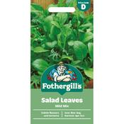 Salad Leaves Mix (Mild)