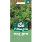 Salad Leaves Mix (Spicy) image