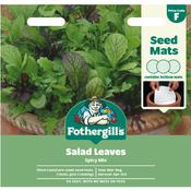 Mat Salad Leaves Spicy Mix image