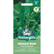 Spinach Beet Seeds (Perpetual Spinach) image