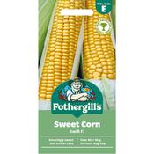 Sweet Corn Seeds (Swift Hybrid) image