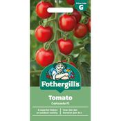 Tomato Seeds (Consuelo Hybrid) image
