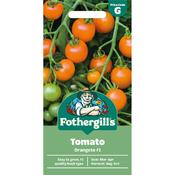 Tomato Seeds (Orangeto Hybrid) image