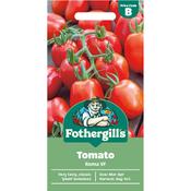 Tomato Seeds (Roma Vf) image