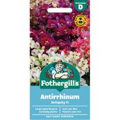 Antirrhinum Seeds (Antiquity Hybrid) image