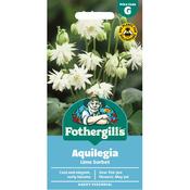 Aquilegia Seeds (Lime Sorbet) image