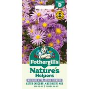 Aster Seeds (Michaelmas Daisy Mix) image
