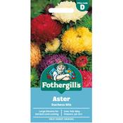 Aster Seeds (Duchess Mix)