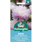 Aster Seeds (Kingsize Appleblossom) image