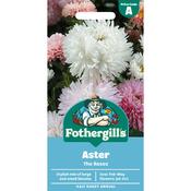 Aster Seeds (The Roses) image
