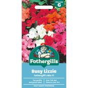 Busy Lizzie Seeds (Mr Fs Mix) image