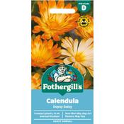 Calendula Seeds (Oopsy Daisy) image