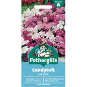 Candytuft Seeds (Fairy Mix) image